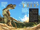 This article from the November 1999 issue of National Geographic was retracted after the fossil Archaeoraptor liaoningensis was shown to be fraudulent